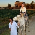 bank_west_lux_v_0030_egy3079.jpg